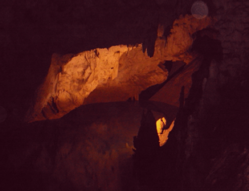 Мобил – ЕЛ со нова лиценца